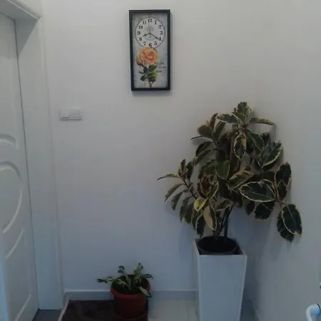 Dado